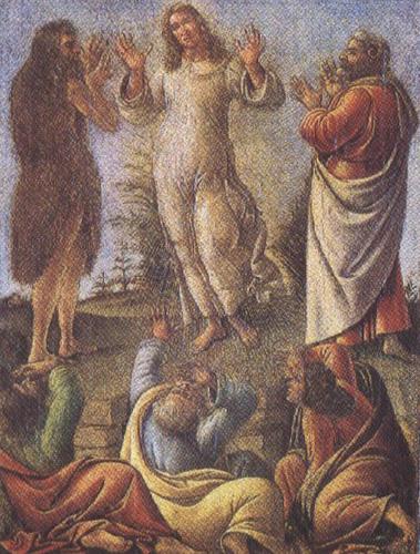 Sandro Botticelli Transfiguration,wtih St jerome and St Augustine (mk36)